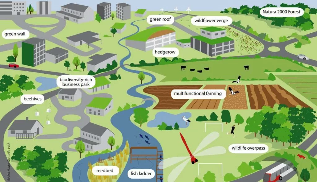 Figure 2-29 Several components of green infrastructure enhancing biodiversity by increasing mobility of wildlife across wi...