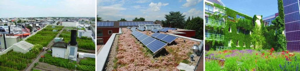 Figure 2-20 Examples of sustainable green design solutions in cities (