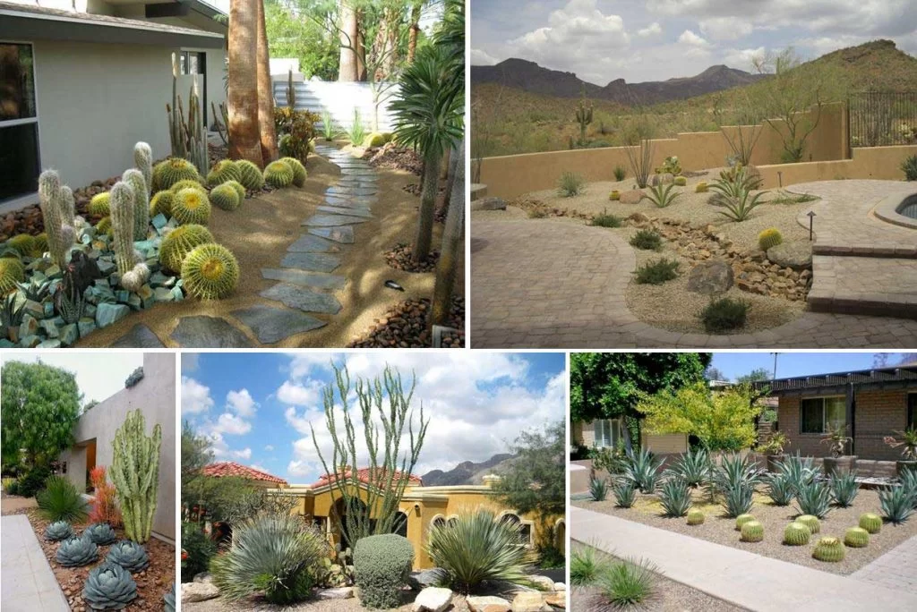 Figure 2-23 Xeriscaping across western United States depicting desert landscaping ideas with cactus plants and succulents...