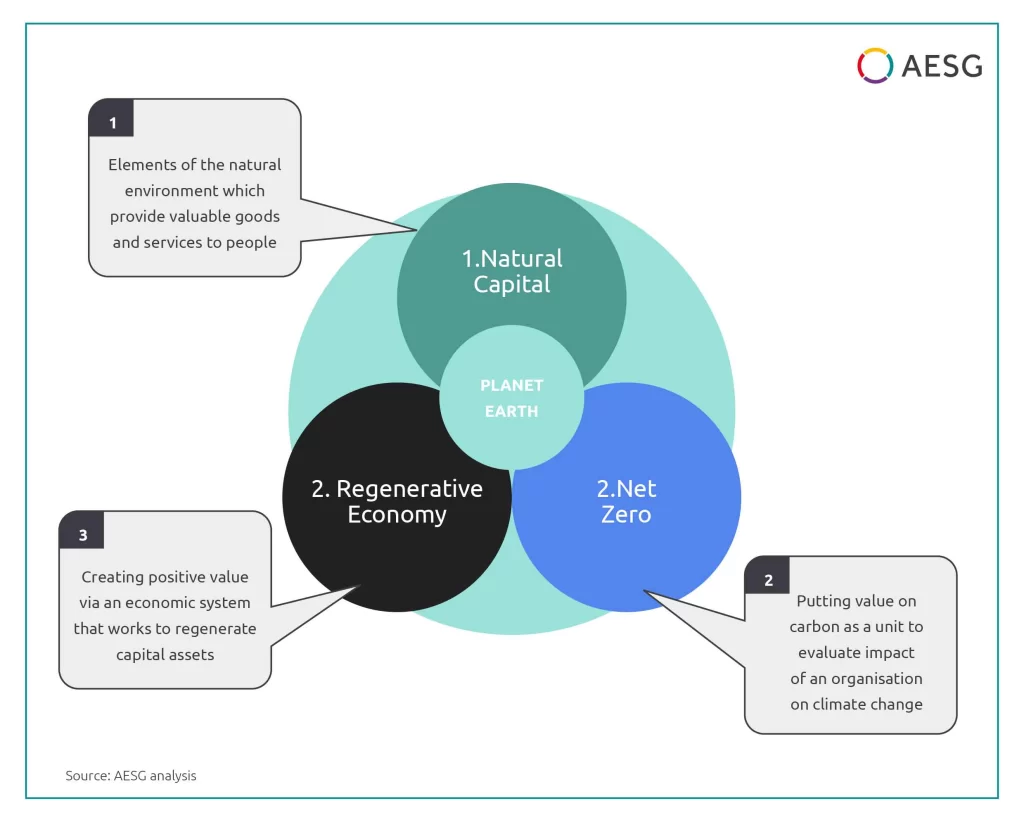 Natural capital, net zero and regenerative economy shown as three overlapping concepts around planet Earth