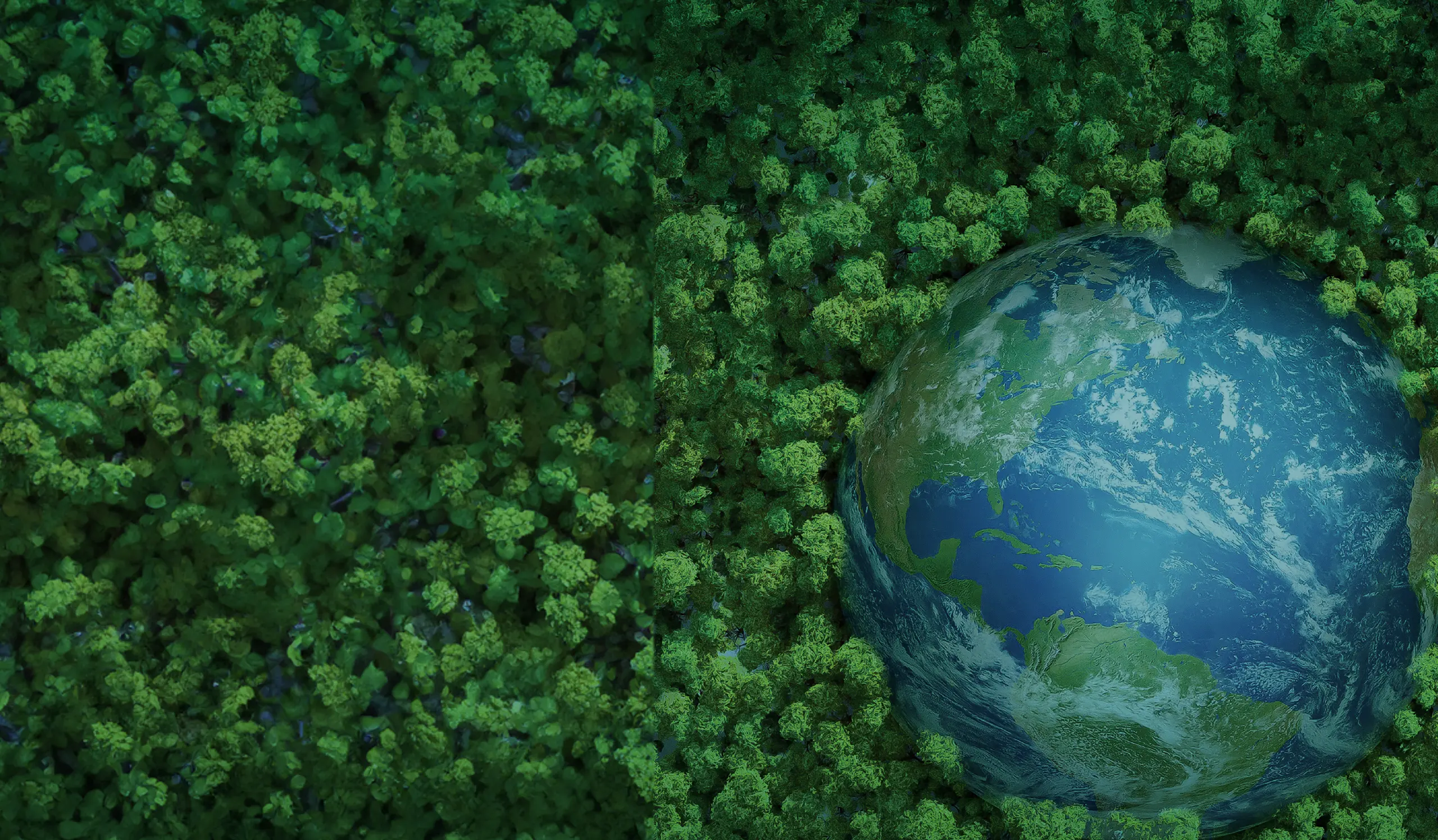 Sustainability Report