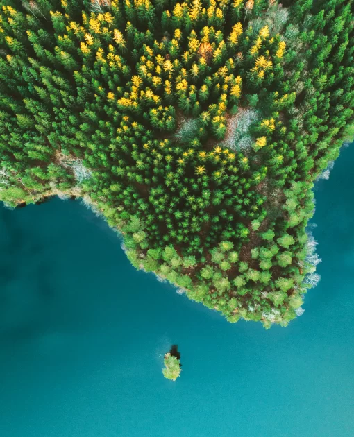 Environment & Sustainability