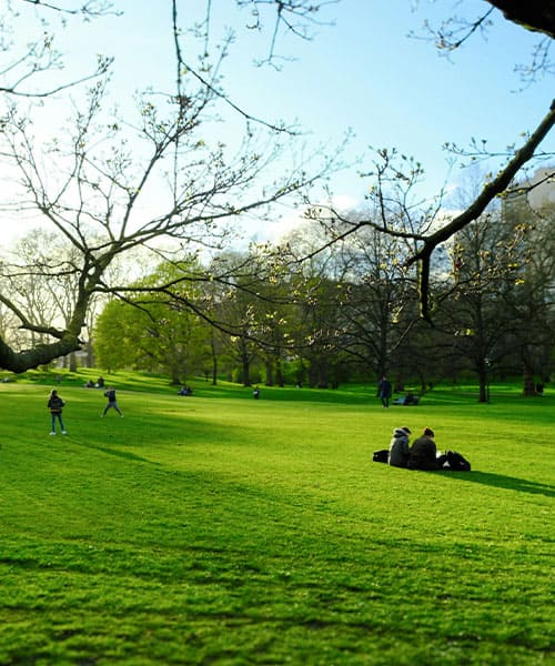 Environmental &#038; Social Impact Assessment (EIA)