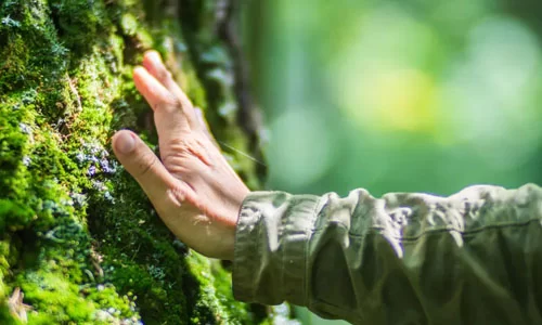 Environmental & Social Impact Assessment (EIA)