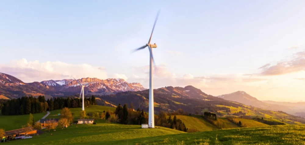 Environment & Sustainability