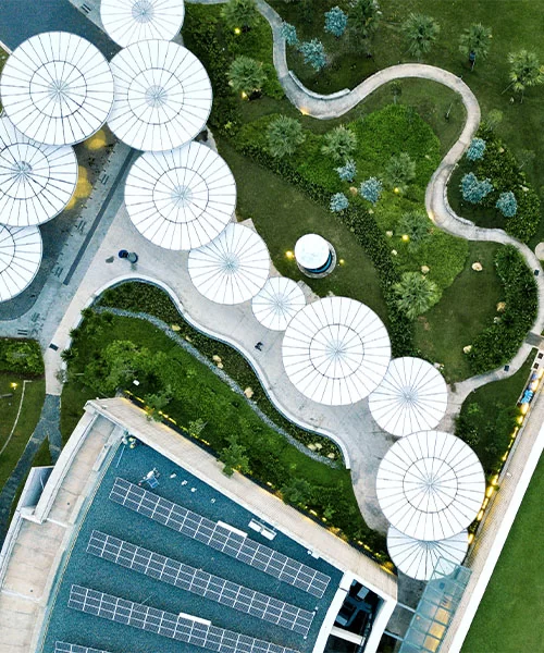 Net Zero Advisory