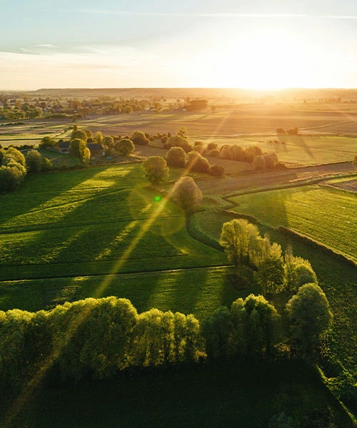 Environmental Product Declarations (EPDs)