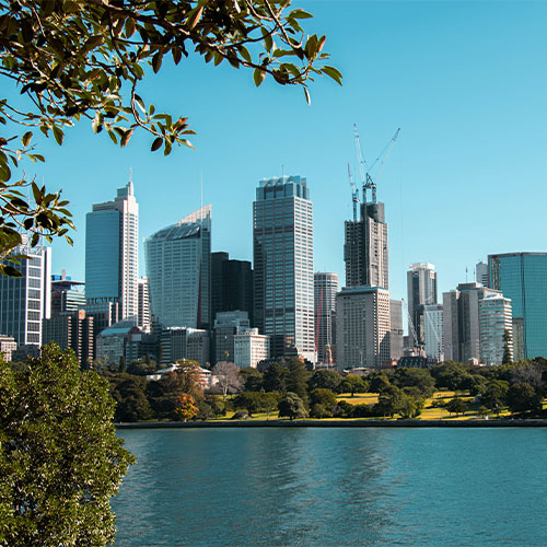 Carbon and Decarbonisation Advisory