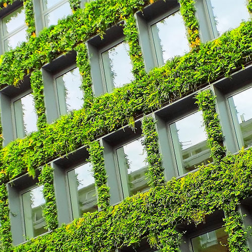 ESG Strategy and Reporting