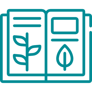 Circular Economy Consulting