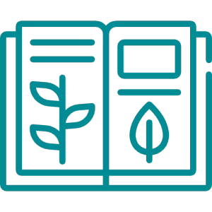 Circular Economy Consulting Services