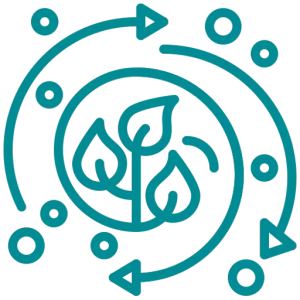 Circular Economy Consulting Services