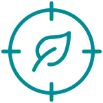 Designing for Net Zero