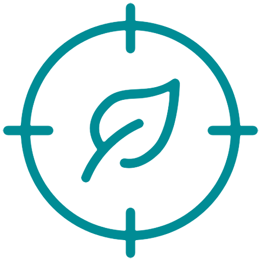 Circular Economy Consulting