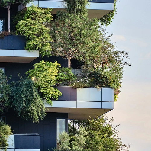 Whole Life Carbon Strategy Services