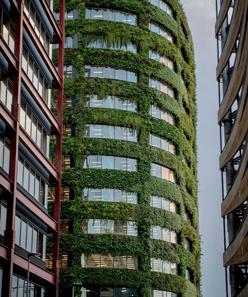 Sustainable Design Consultancy