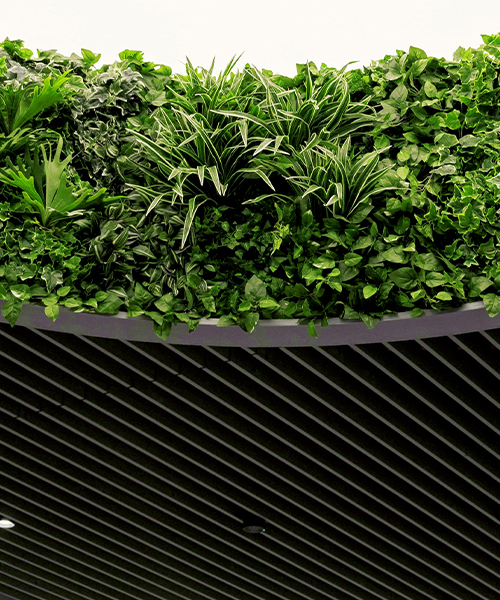 Sustainable Façade Innovation
