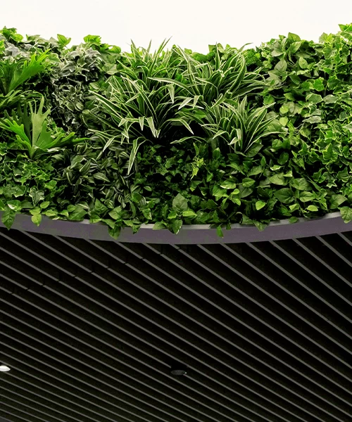 Sustainable Façade Innovation