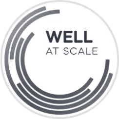 Green Building Certifications and Sustainability Rating Systems