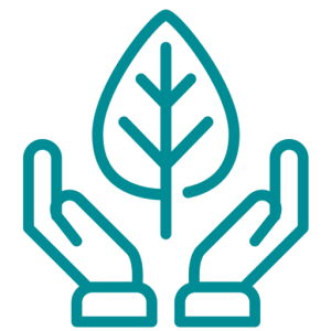 Sustainable Design Consultancy
