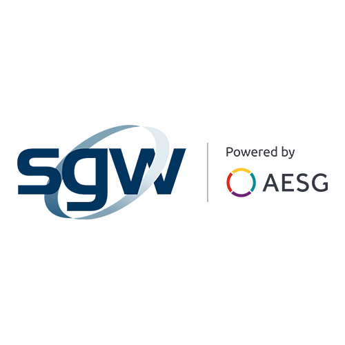 Security Consulting