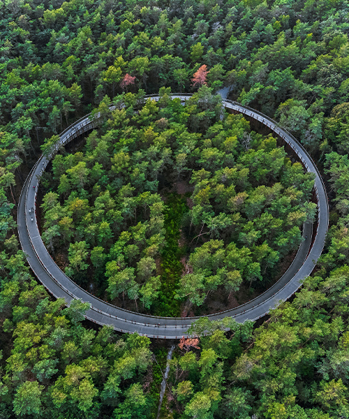 Circular Economy Consulting Services