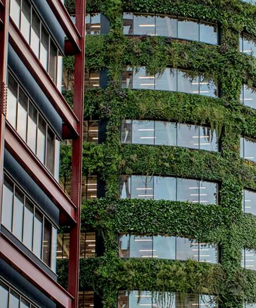 Corporate Carbon Management