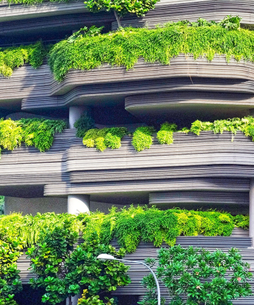 ESG Strategy &#038; Reporting