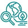 Whole Life Carbon Strategy Services