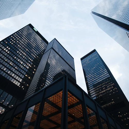 Employers’ / Owners’ Independent Verification (CxV)