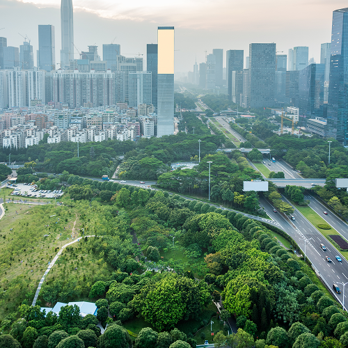 Net Zero Advisory