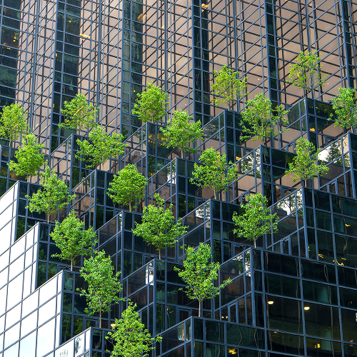 Designing for Net Zero