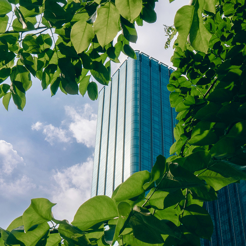 Sustainable Procurement