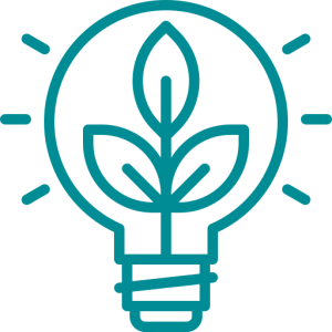 Decarbonisation Strategies