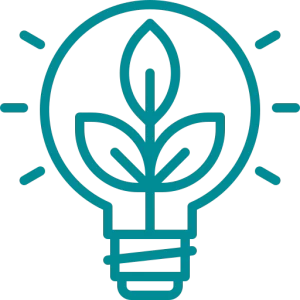 Decarbonisation Strategies