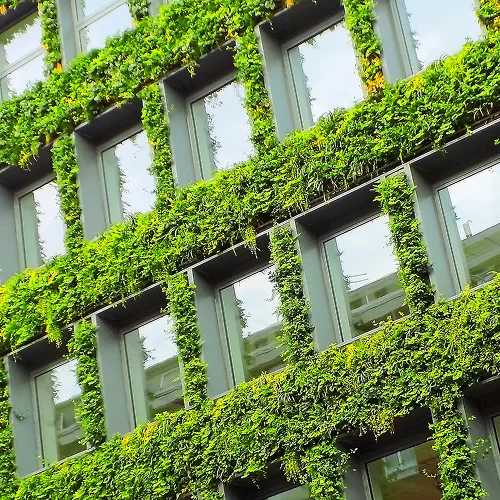 ESG Strategy & Reporting
