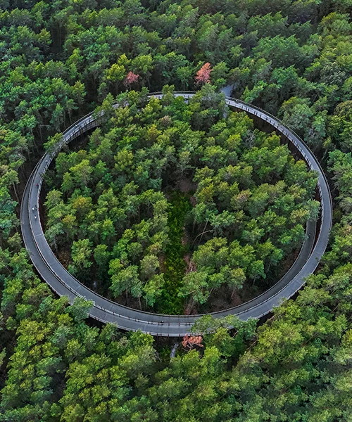 Circular Economy Consulting