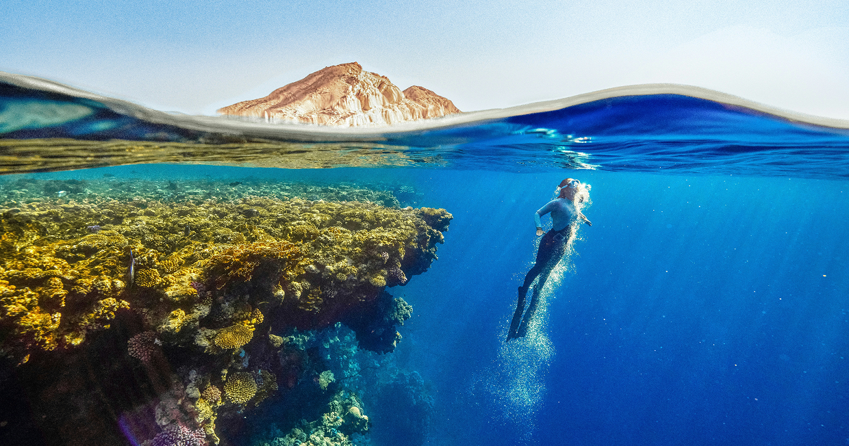 Marine Ecology