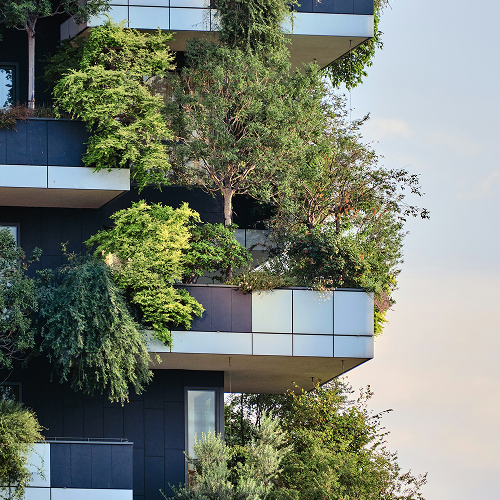 Whole Life Carbon Strategy Services