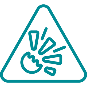 Construction Phase Support