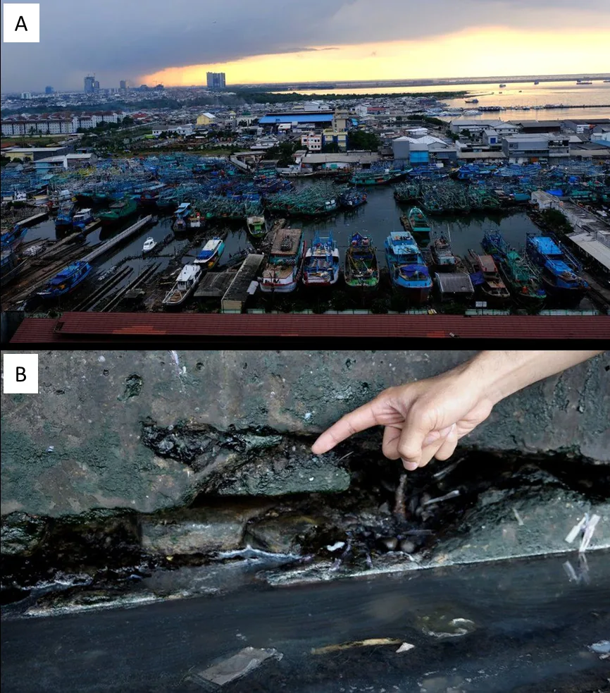 Example of sea-level rise in the Indonesian capital city, Jakarta: (a) North Jakarta is sinking by about 2