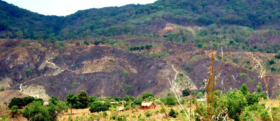 Deforestation of lower slopes by subsistence farmers in Malawi, south-eastern Africa7