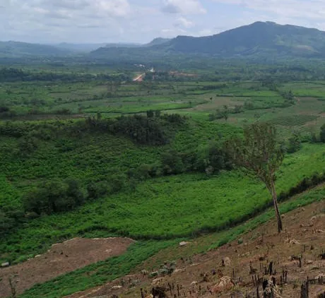 Deforestation in Greater Mekong region of Cambodia6