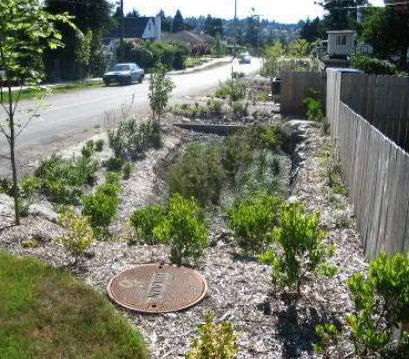 Examples of bioretention in an urban setting Regulatory measures complement the application of the