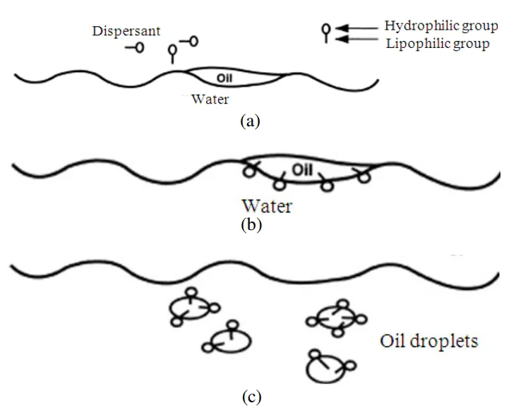 Diagram of oil remediation using dispersants, showing hydrophilic and lipophilic groups breaking oil into droplets